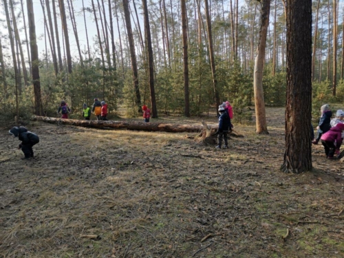 IMG 20200107 105046
