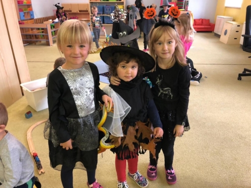 IMG-20191031-WA0008