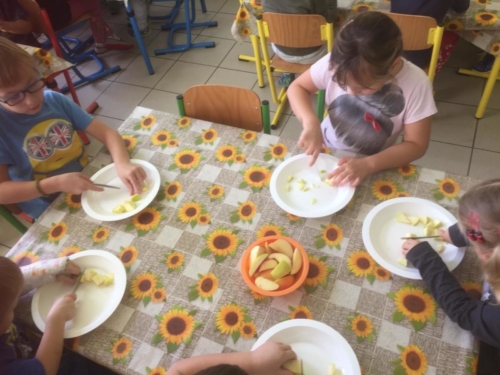 IMG-20191017-WA0046