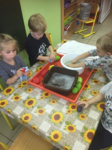 IMG-20191017-WA0067