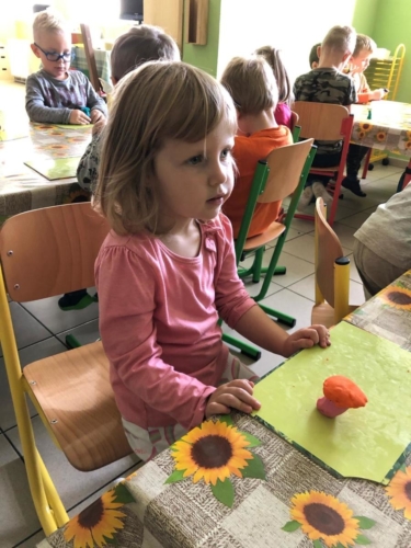 IMG-20191108-WA0016