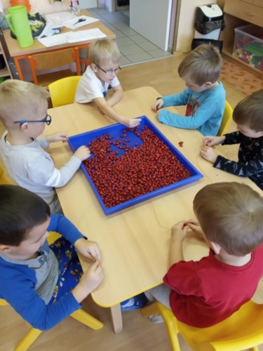 IMG-20191121-WA0002