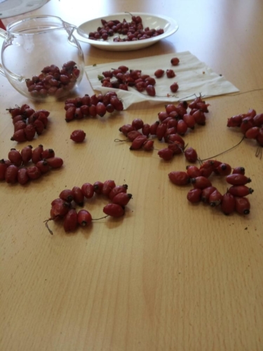 IMG-20191121-WA0003