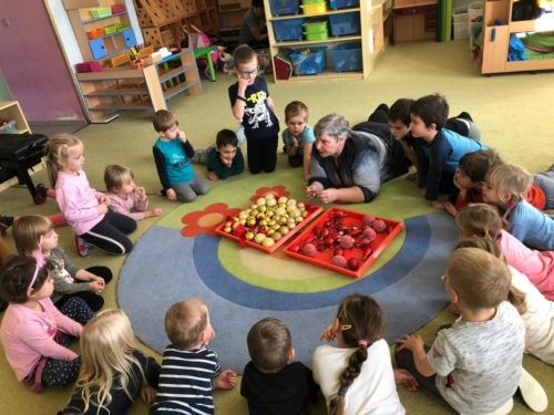 IMG-20191219-WA0000