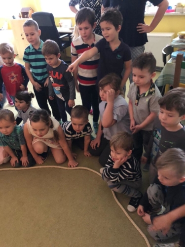 IMG-20191219-WA0029