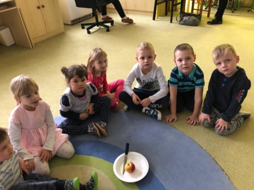 IMG-20191219-WA0032
