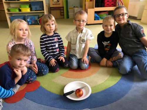 IMG-20191219-WA0035