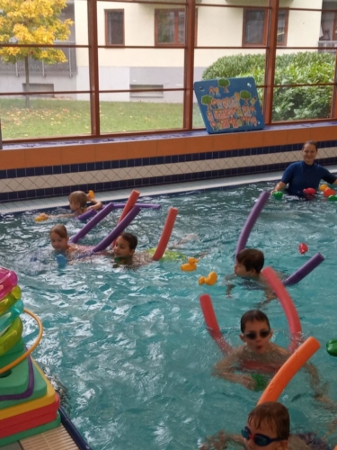 IMG-20191019-WA0006