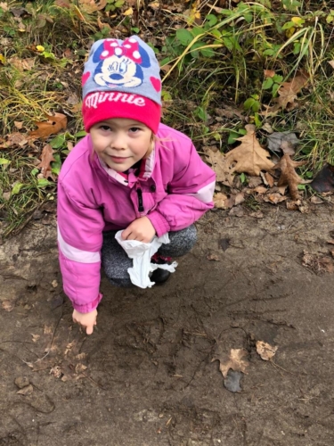 IMG-20191109-WA0004