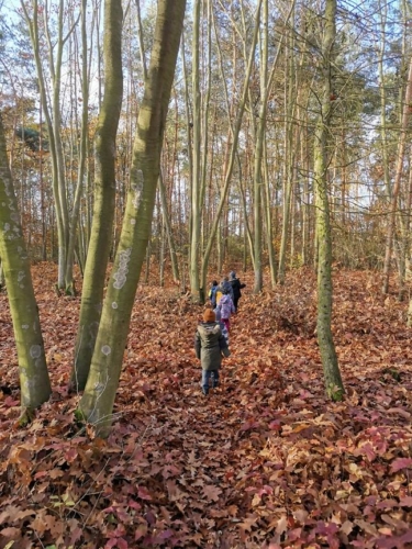 IMG 20201120 103724 (Kopírovat)