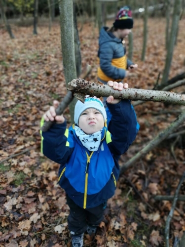 IMG 20201118 105307
