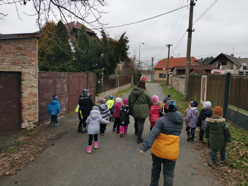 IMG 20201215 095401 (Kopírovat)