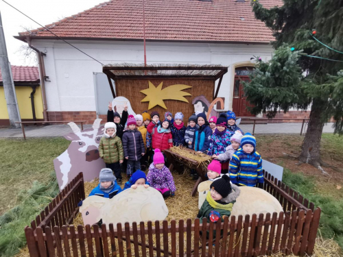 STONOŽKA- advent